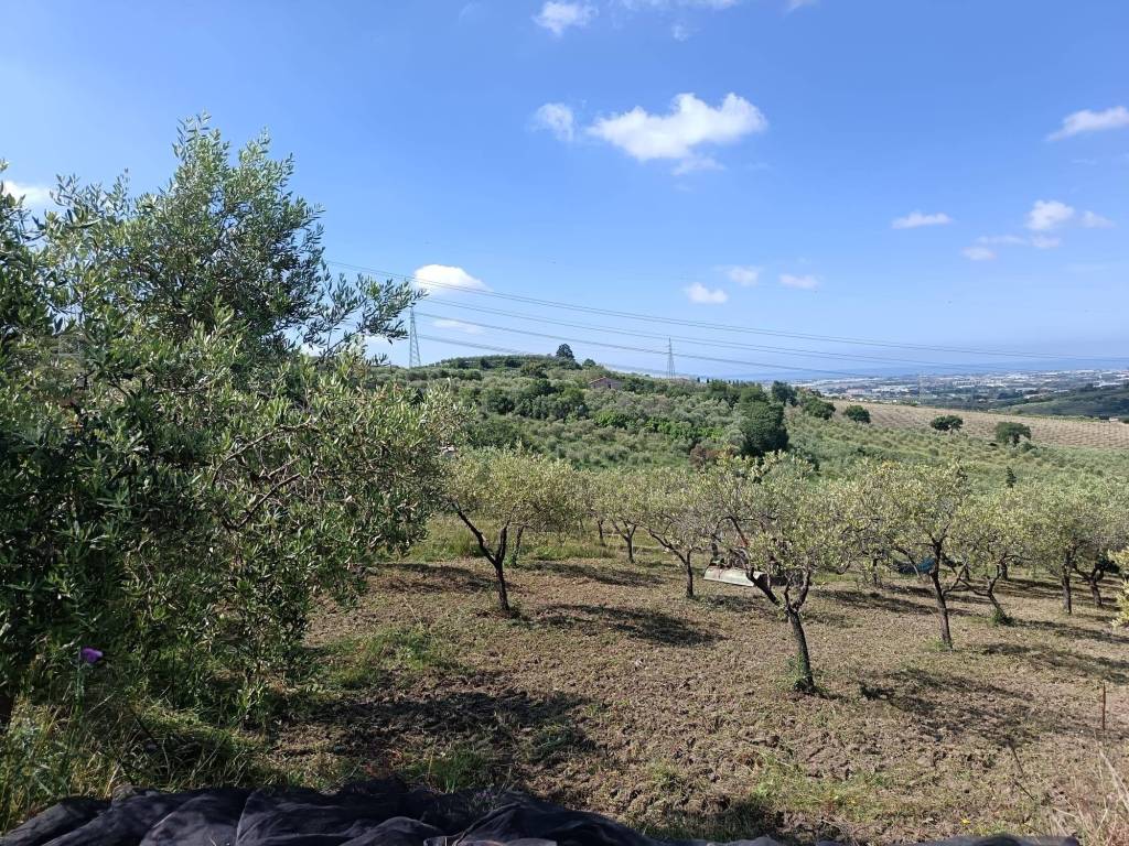 Terreno a Montecorvino pugliano in Via Vittorio Emanuele II - Foto 2