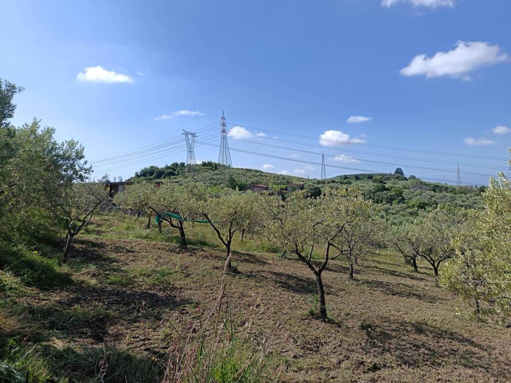 Terreno a Montecorvino pugliano in Via Vittorio Emanuele II - Foto 3
