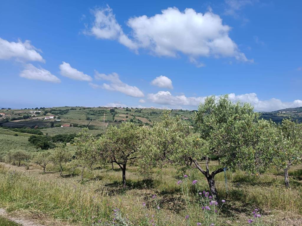 Terreno a Montecorvino pugliano in Via Vittorio Emanuele II - Foto 4