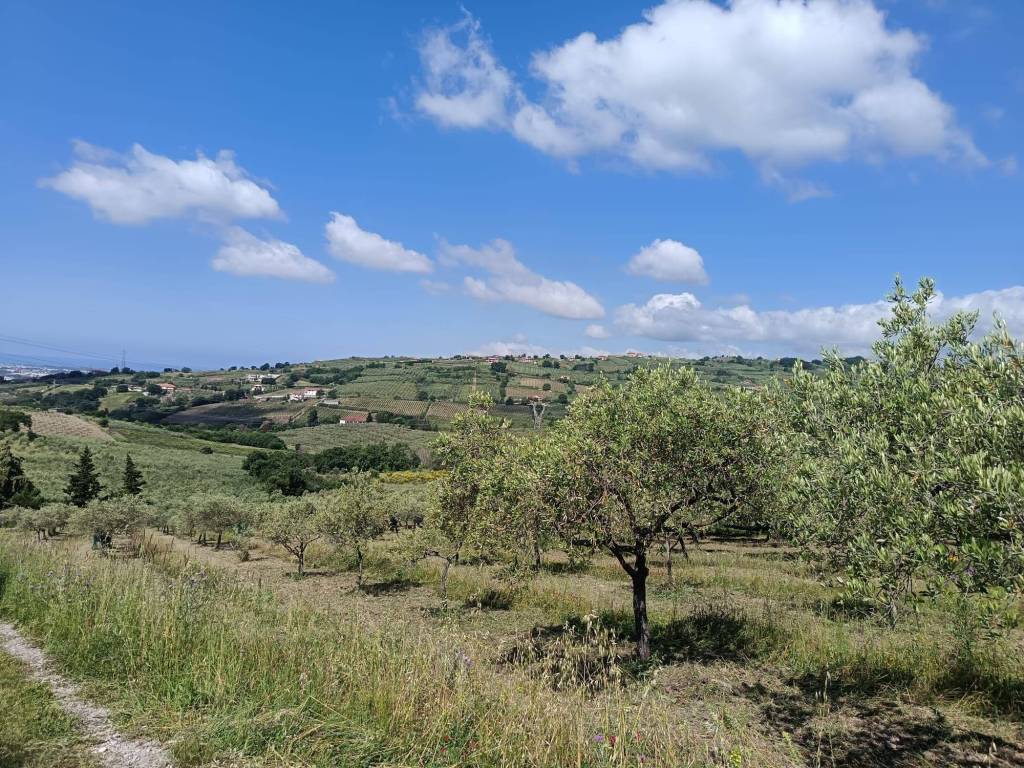Terreno a Montecorvino pugliano in Via Vittorio Emanuele II - Foto 5