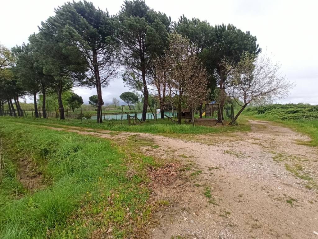 Terreno a Castiglione del lago in Via Roma, 152 - Foto 3