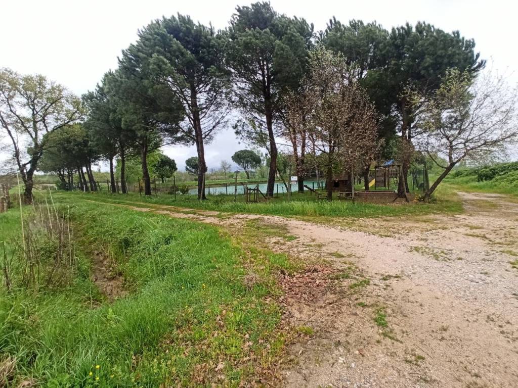 Terreno a Castiglione del lago in Via Roma, 152 - Foto 4