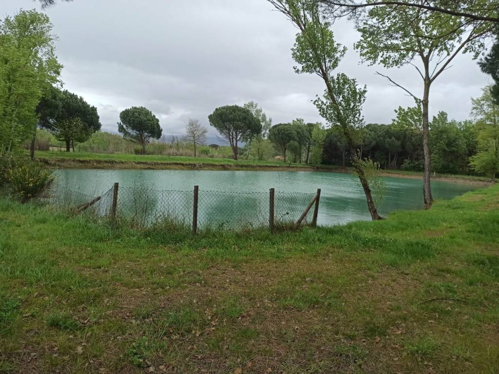 Terreno a Castiglione del lago in Via Roma, 152 - Foto 5