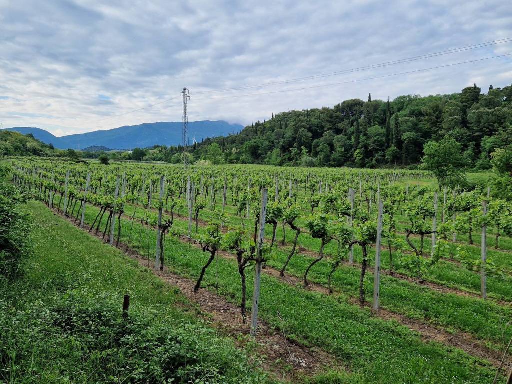 Terreno a Cavaion veronese in Via Pozzo dell'Amore - Foto 3