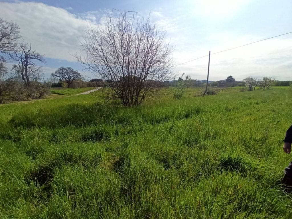 Terreno a Castiglione del lago in Via Roma, 152 - Foto 2