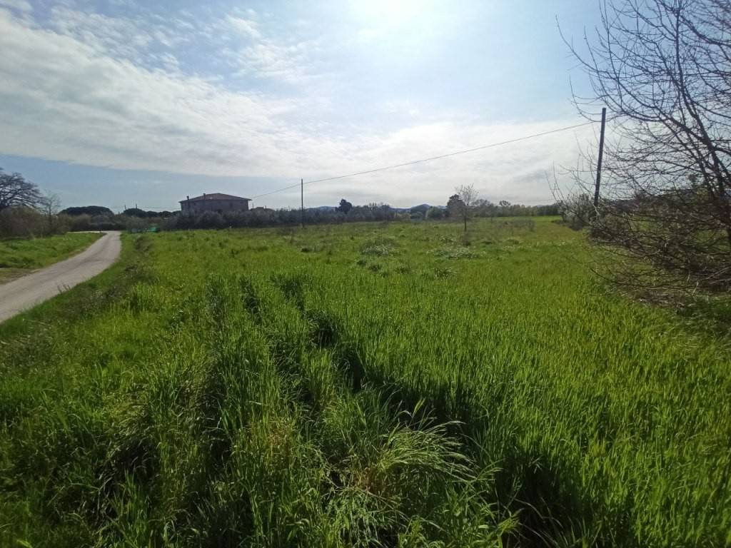 Terreno a Castiglione del lago in Via Roma, 152 - Foto 3