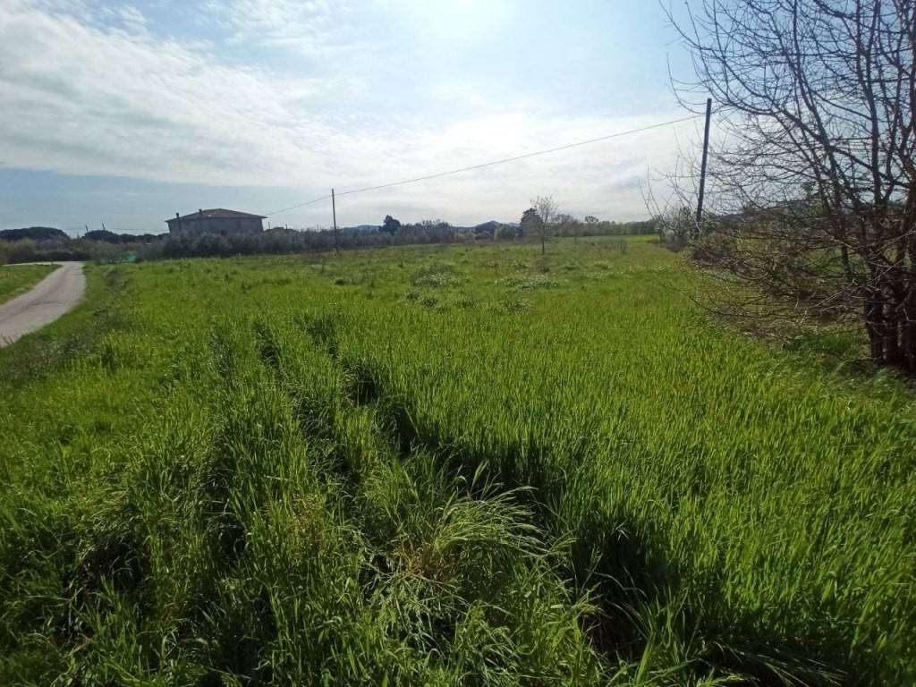 Terreno a Castiglione del lago in Via Roma, 152 - Foto 4