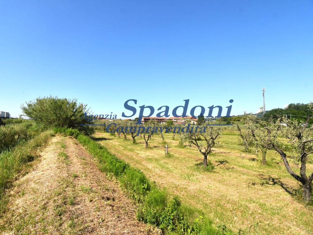 Terreno a Monsummano terme in Via del Poggetto - Foto 2