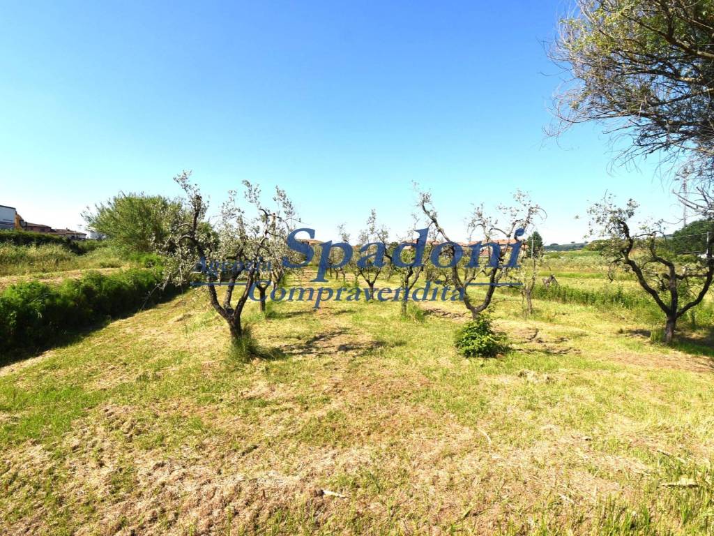 Terreno a Monsummano terme in Via del Poggetto - Foto 4