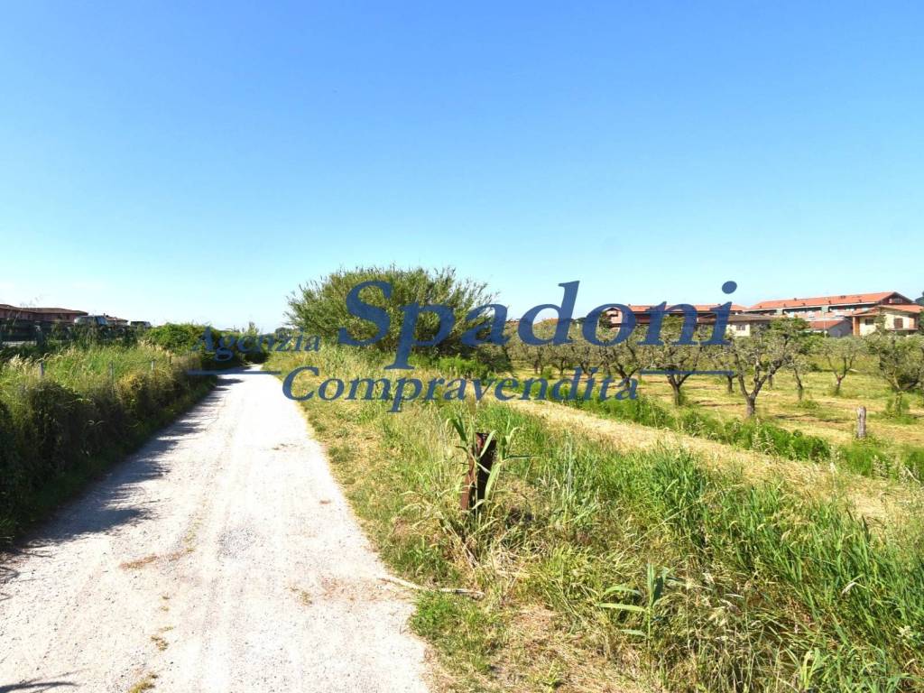 Terreno a Monsummano terme in Via del Poggetto - Foto 5