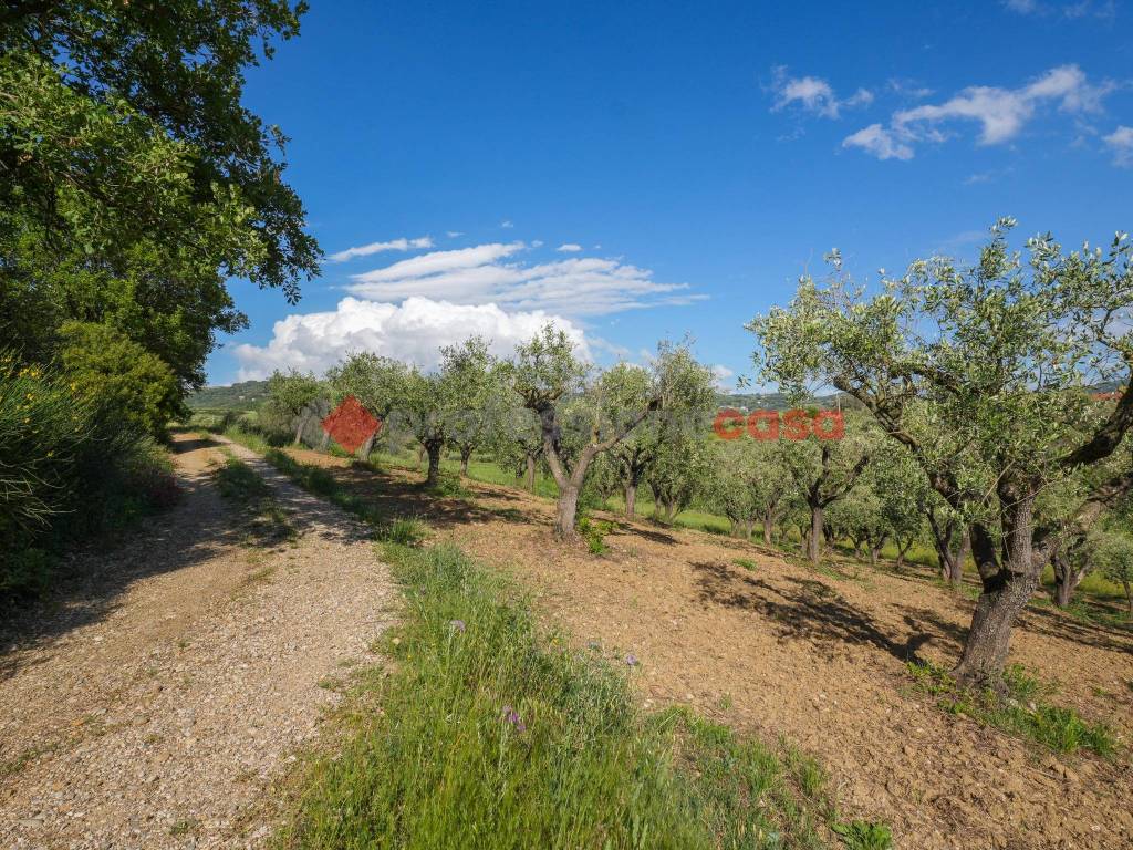 Terreno a Albanella in Via Perelle - Foto 4