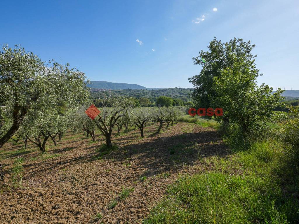 Terreno a Albanella in Via Perelle - Foto 5