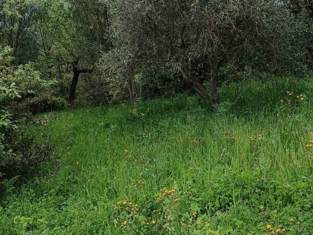 Terreno a Ascea in Via Salice - Foto 3