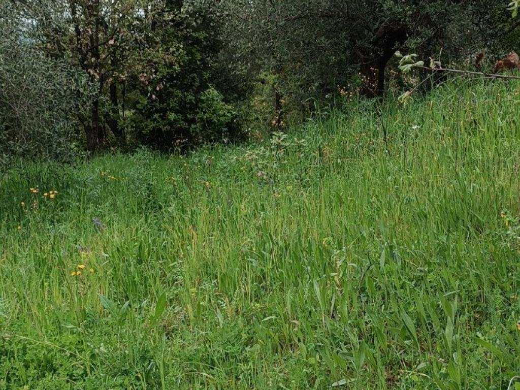 Terreno a Ascea in Via Salice - Foto 4