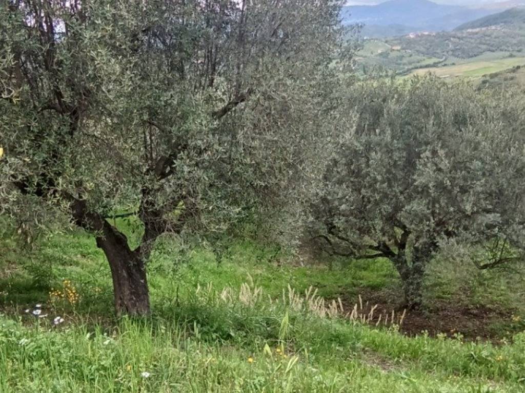 Terreno a Ascea in Via Salice - Foto 5