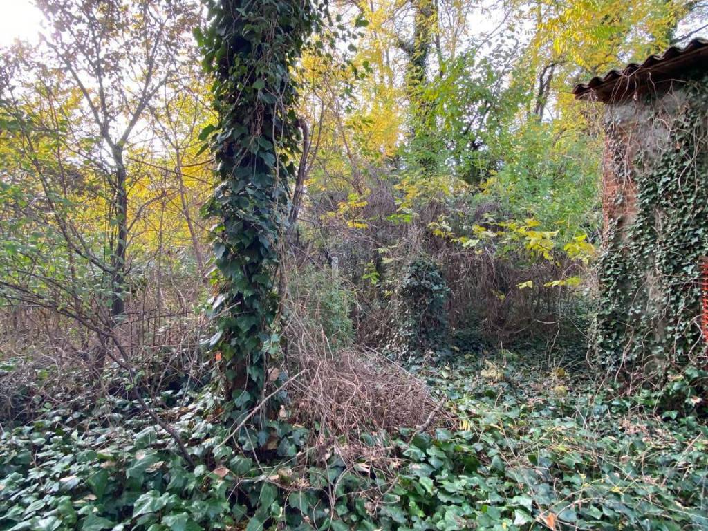 Rustico / casale a Arcole - Foto 4