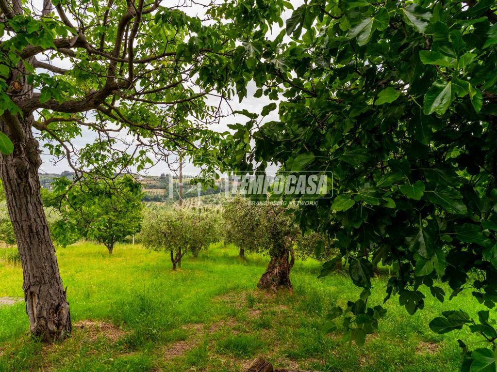 Casa indipendente a Civitanova marche - Foto 4