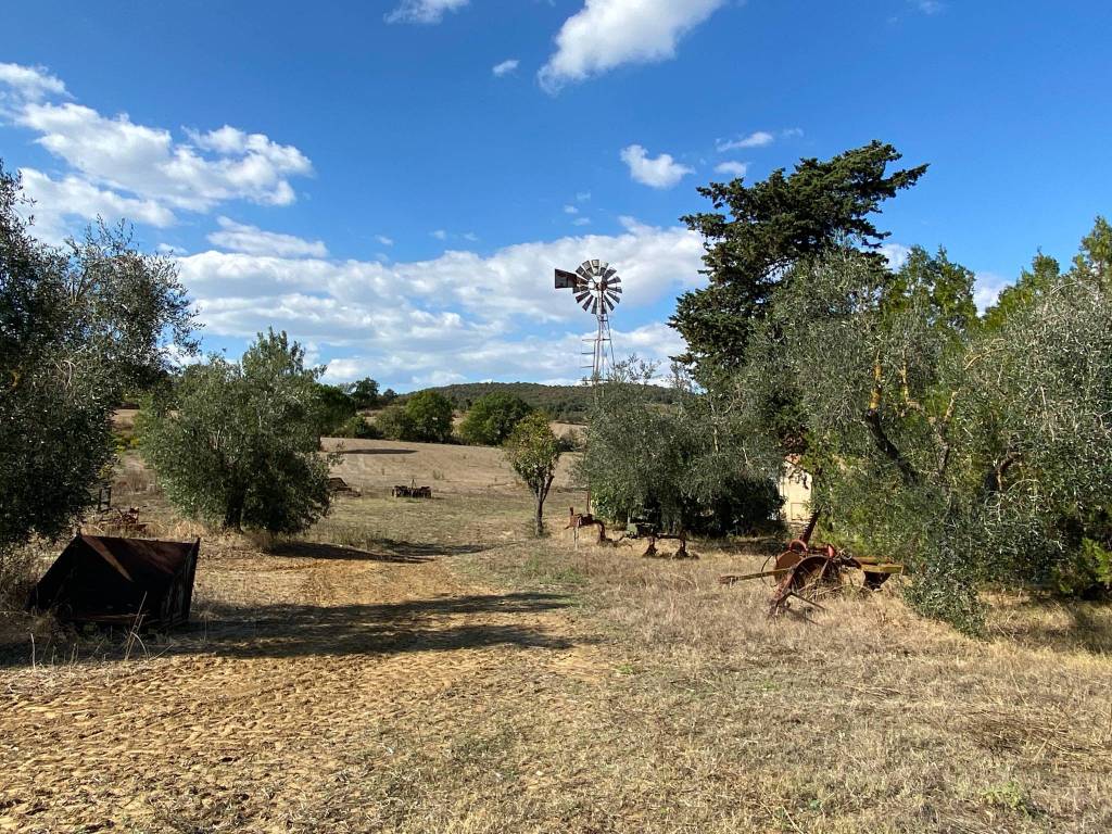 Terreno a Magliano in toscana in Strada Provinciale Talamone - Foto 4