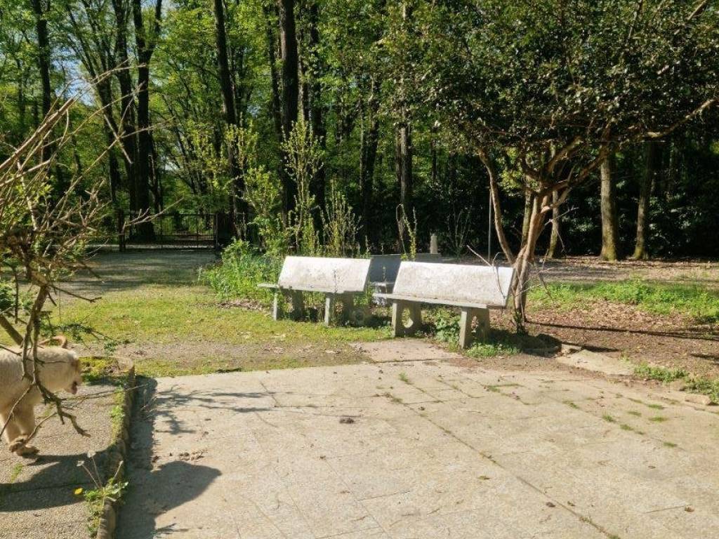 Immobile a Cardano al campo in Via al Campo - Foto 5