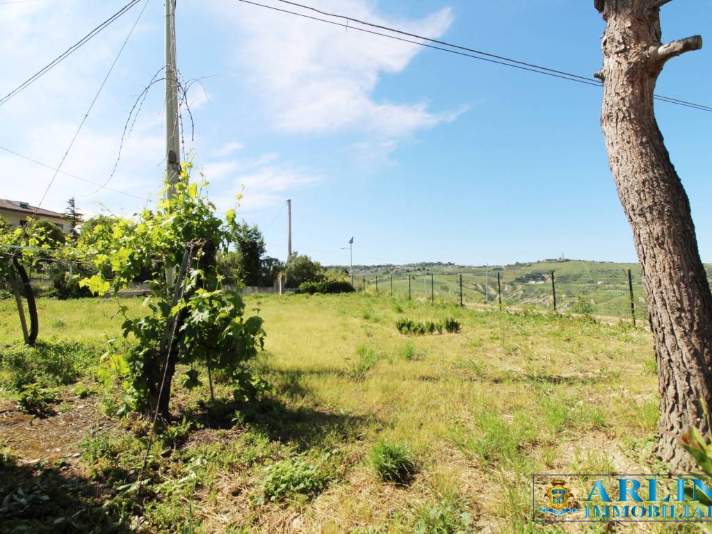 Rustico / casale a Atri in Strada Provinciale Atri Treciminiere - Foto 4