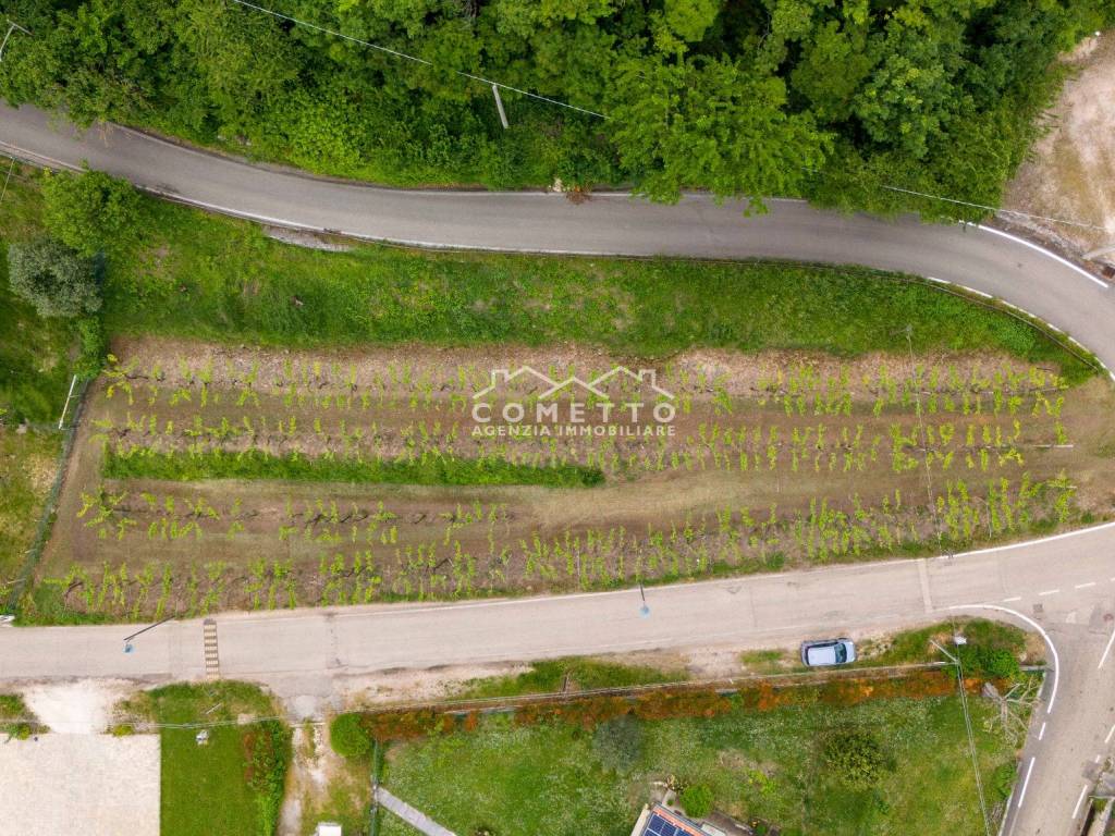 Terreno a Colognola ai colli in Via Molini - Foto 5