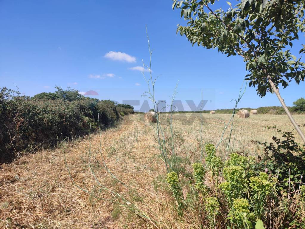 Terreno a Ragusa in C.DA Tribastone - Foto 5