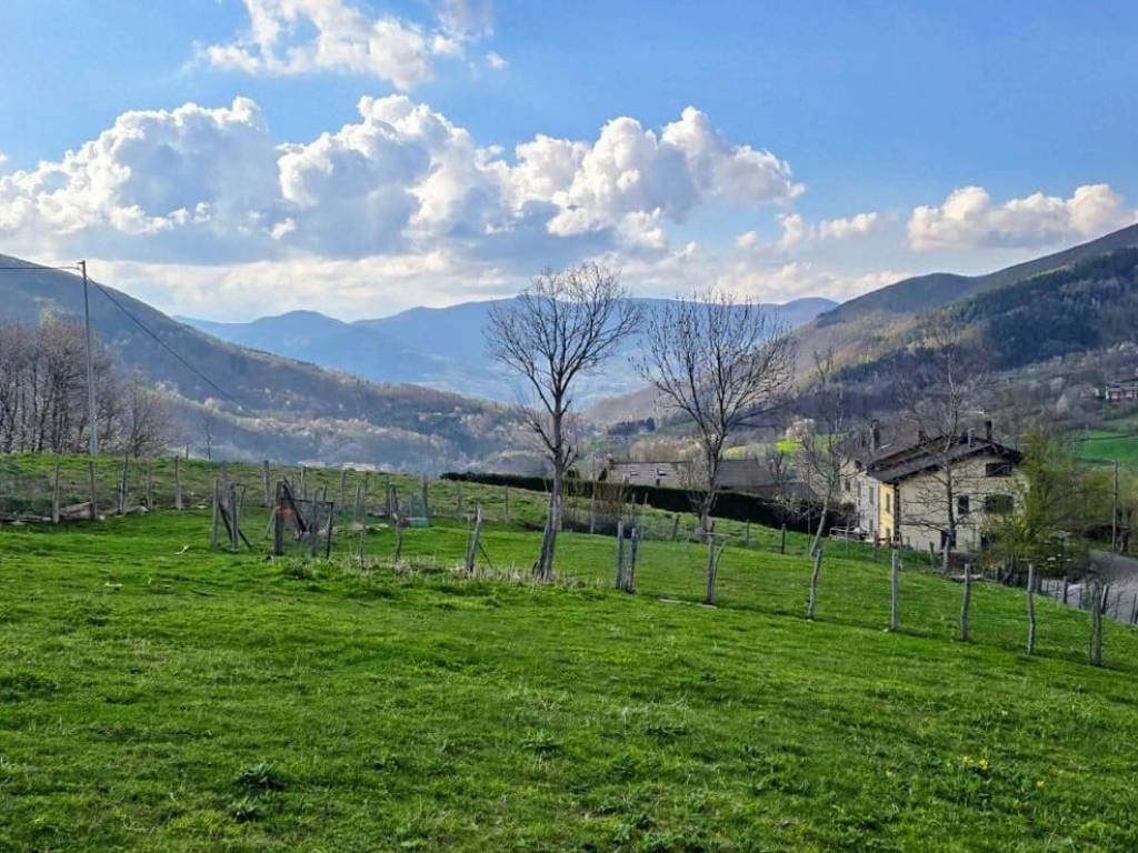 Terreno a Fiumalbo - Foto 5