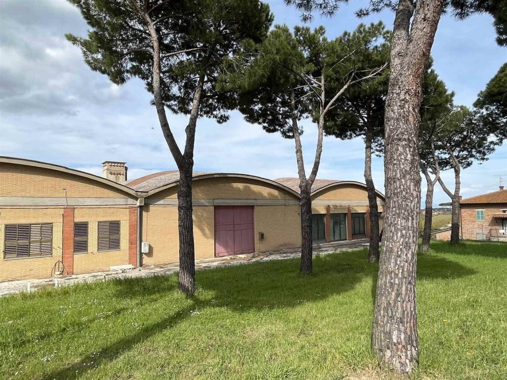 Immobile a Castiglione del lago - Foto 4