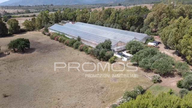 Terreno a Villa san pietro - Foto 5