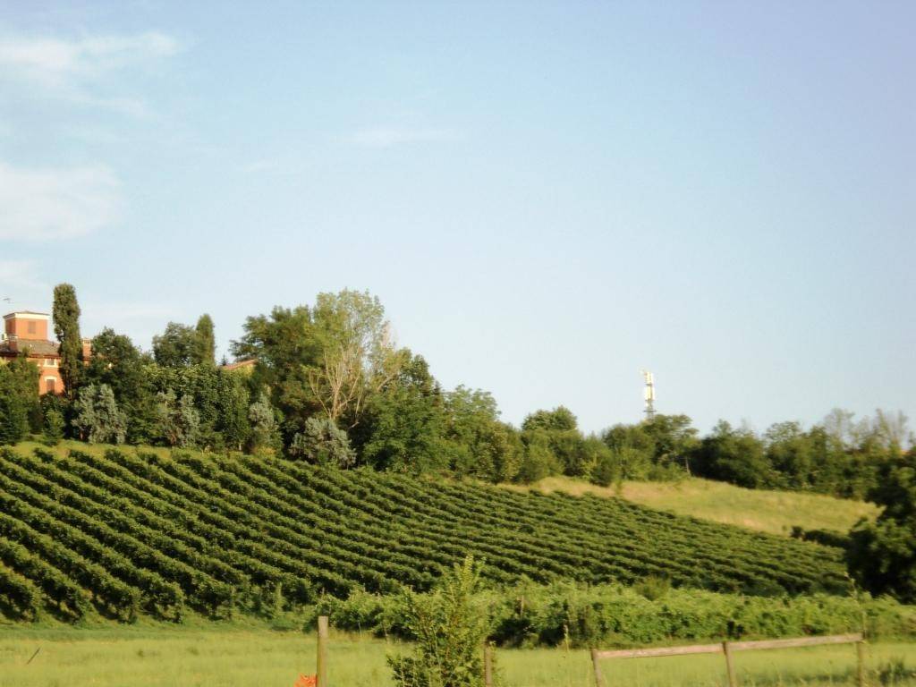 Terreno a Castelvetro di modena in Via Migliorara - Foto 2