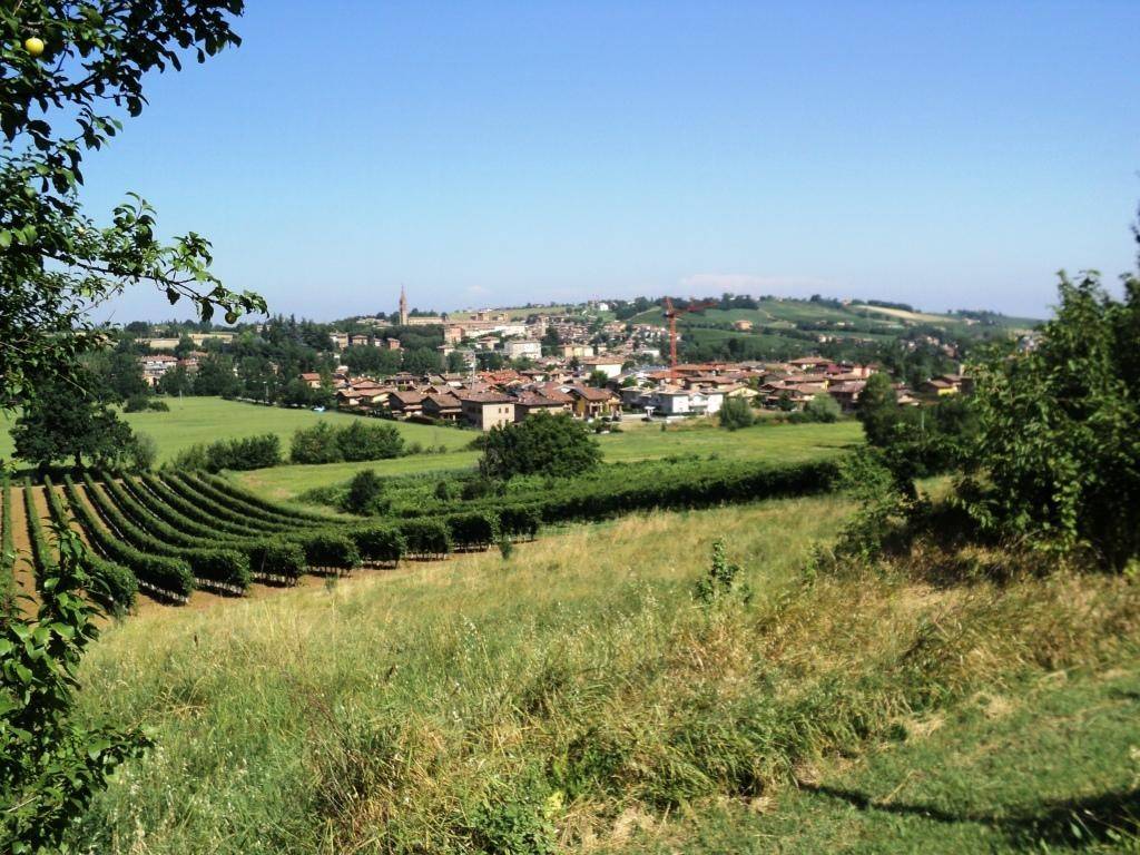 Terreno a Castelvetro di modena in Via Migliorara - Foto 3