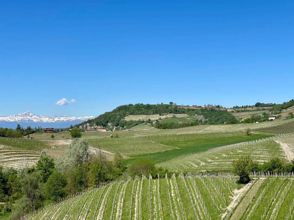 Villa a Monforte d'alba in Località Manzoni, 63 - Foto 2