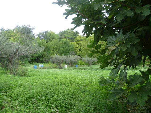Terreno a Mozzagrogna in Via del Boschetto - Foto 3