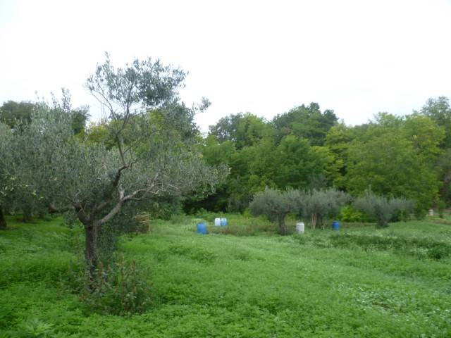Terreno a Mozzagrogna in Via del Boschetto - Foto 4