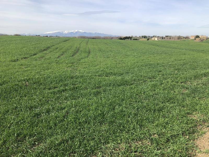 Terreno a Vasto - Foto 2