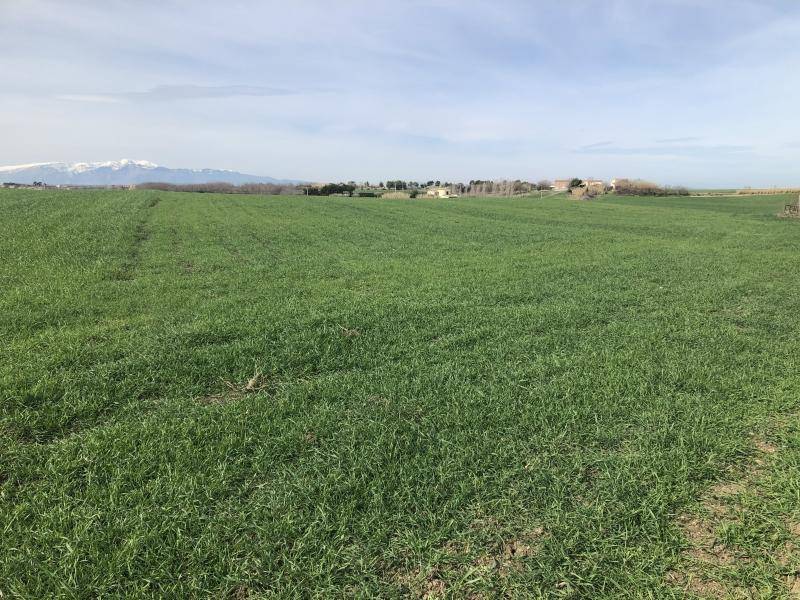 Terreno a Vasto - Foto 3