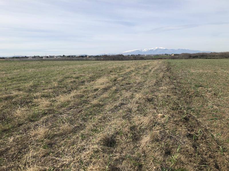Terreno a Vasto - Foto 4