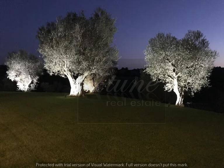 Villa a Capalbio in Strada della Sgrilla - Foto 5