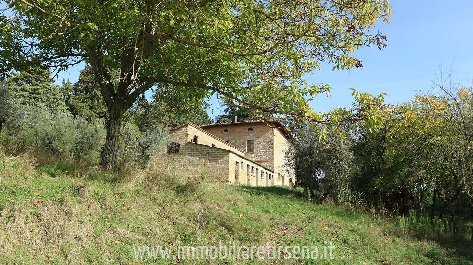 Rustico / casale a Monteleone d'orvieto - Foto 5
