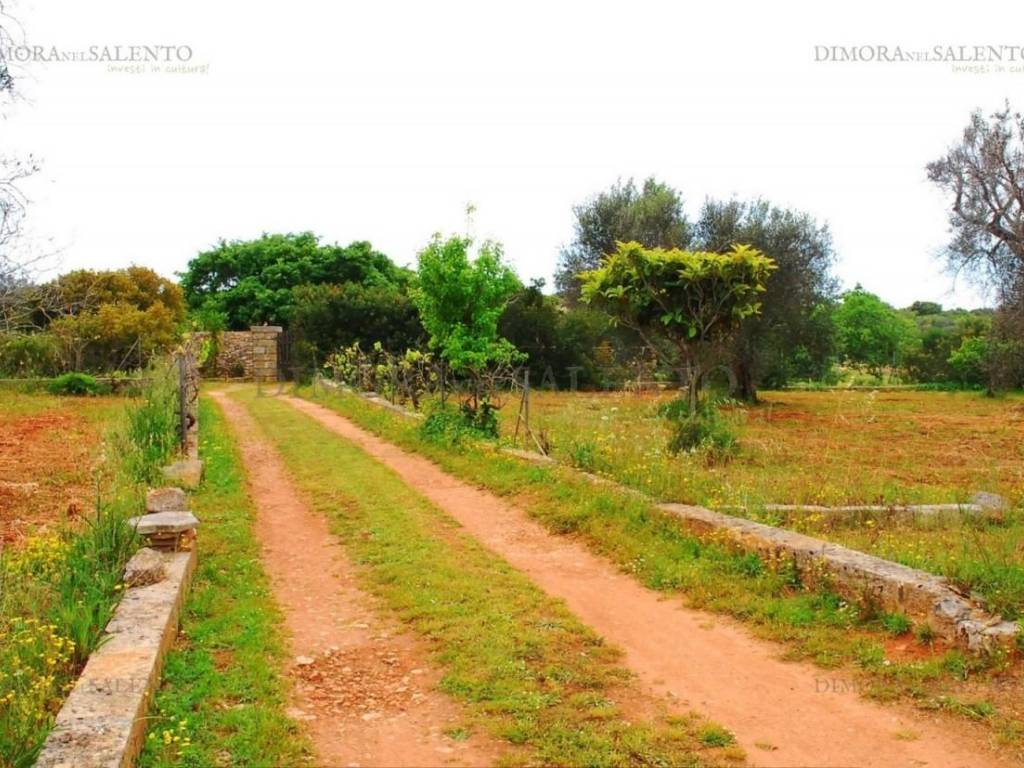 Villa a Salve in VIA DELLA GINESTRA - Foto 2