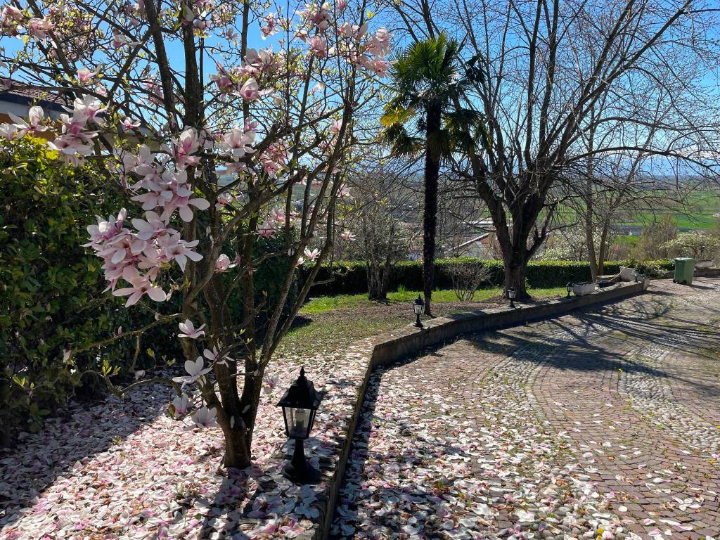 Villa a Bra in Strada San Matteo - Foto 4