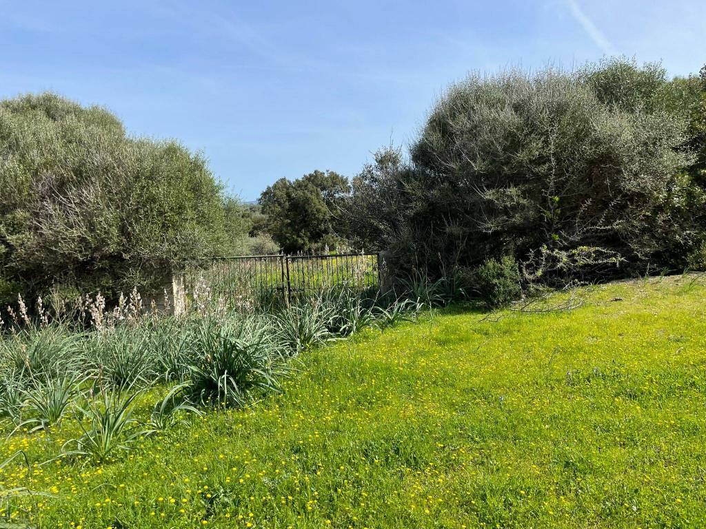 Terreno a Arzachena - Foto 2