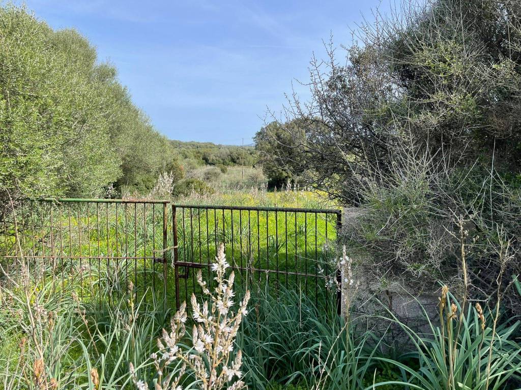 Terreno a Arzachena - Foto 3