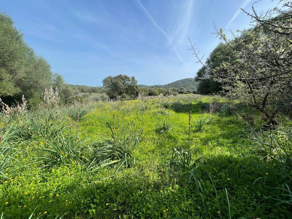 Terreno a Arzachena - Foto 4