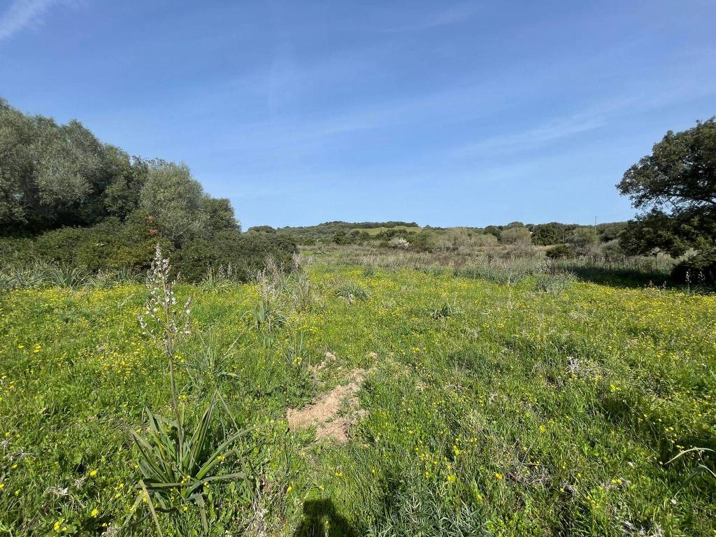 Terreno a Arzachena - Foto 5