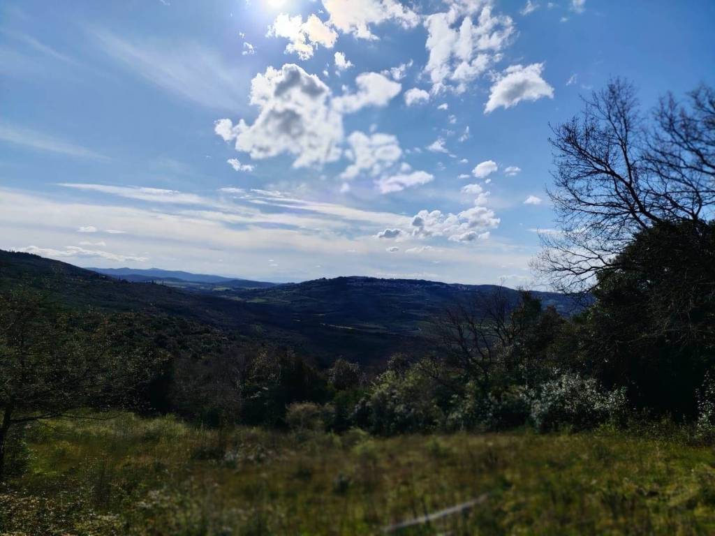 Rustico / casale a Massa marittima - Foto 3