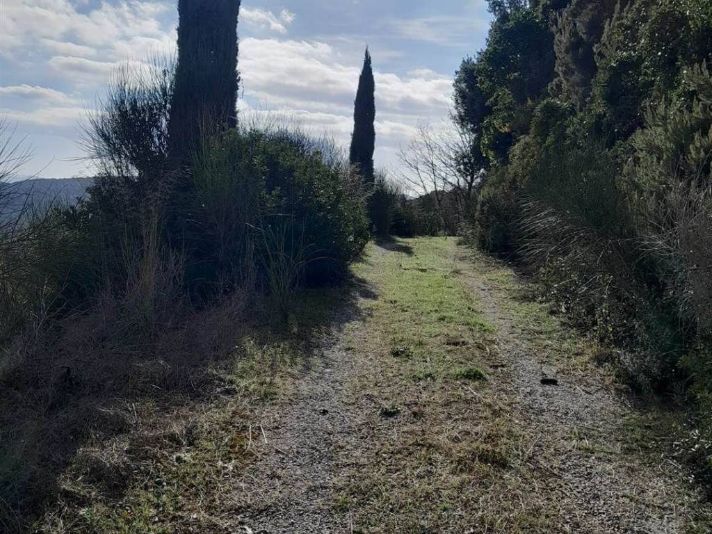 Rustico / casale a Massa marittima - Foto 4