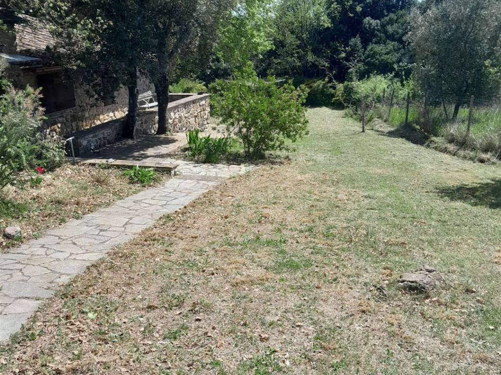 Rustico / casale a Massa marittima - Foto 5
