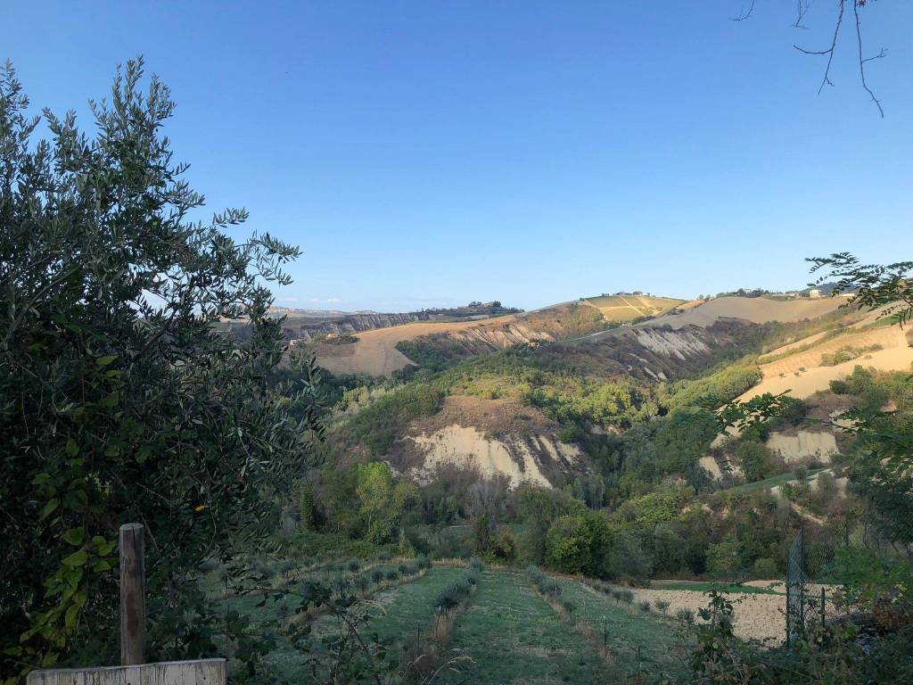 Rustico / casale a Ripatransone in Contrada Magnola - Foto 2