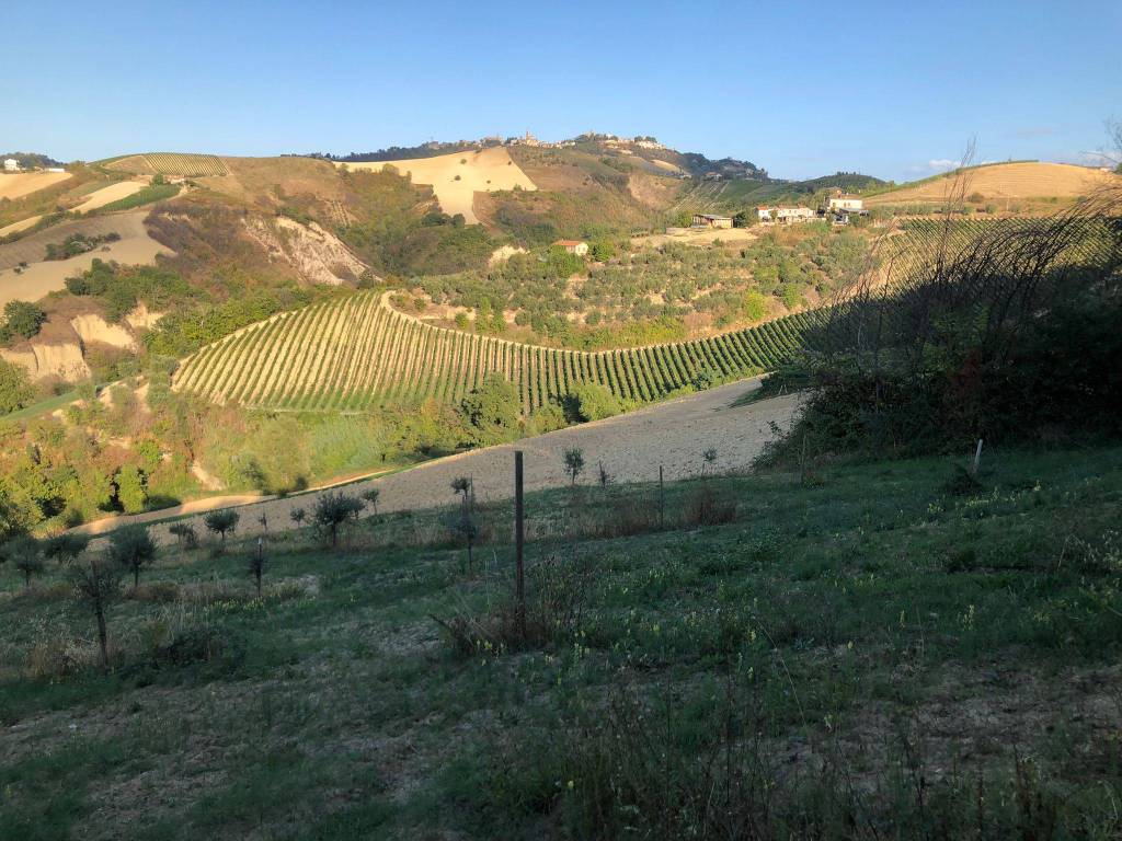 Rustico / casale a Ripatransone in Contrada Magnola - Foto 5